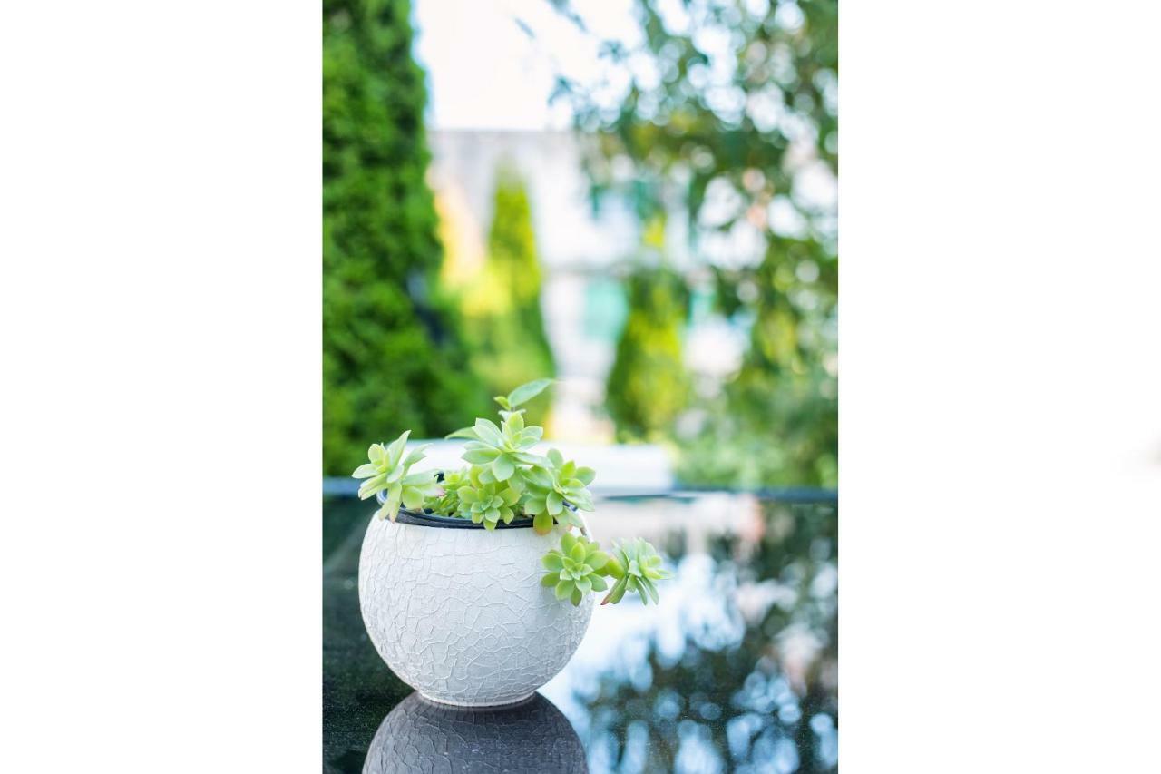 Apartments Lipic Водице Екстериор снимка